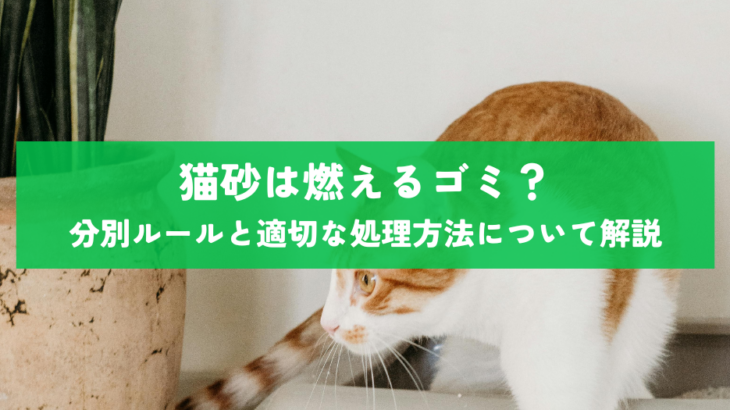 断捨離ねこ H633T5CWXNOMDIVQEE5N2TXAAY.jpg