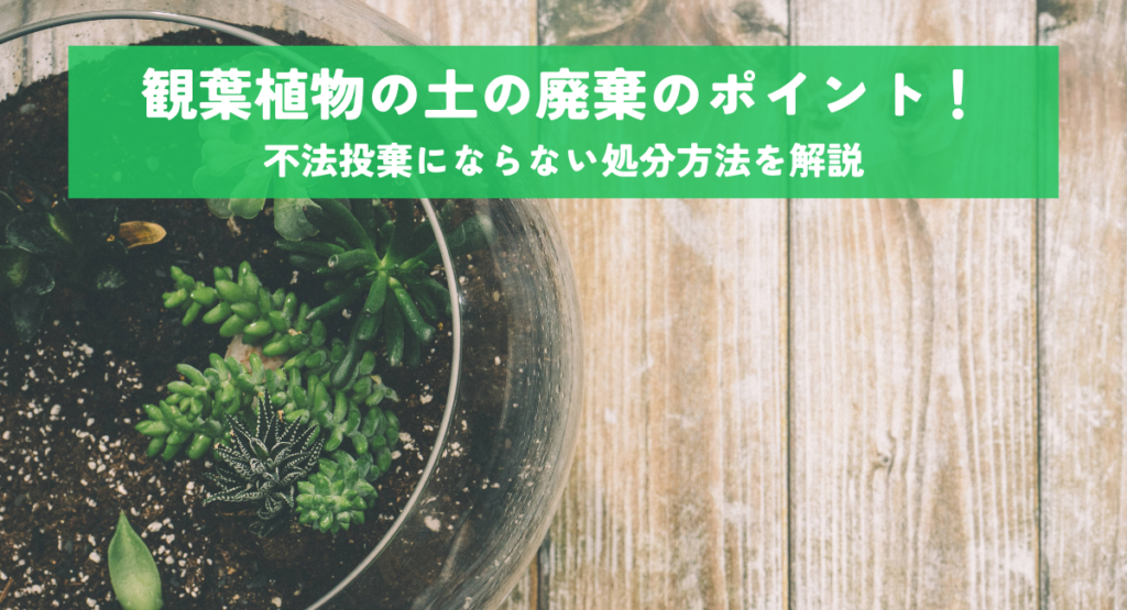 観葉植物の土の廃棄のポイント!不法投棄にならない処分方法を解説